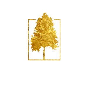 Golden Aspen Films LLC